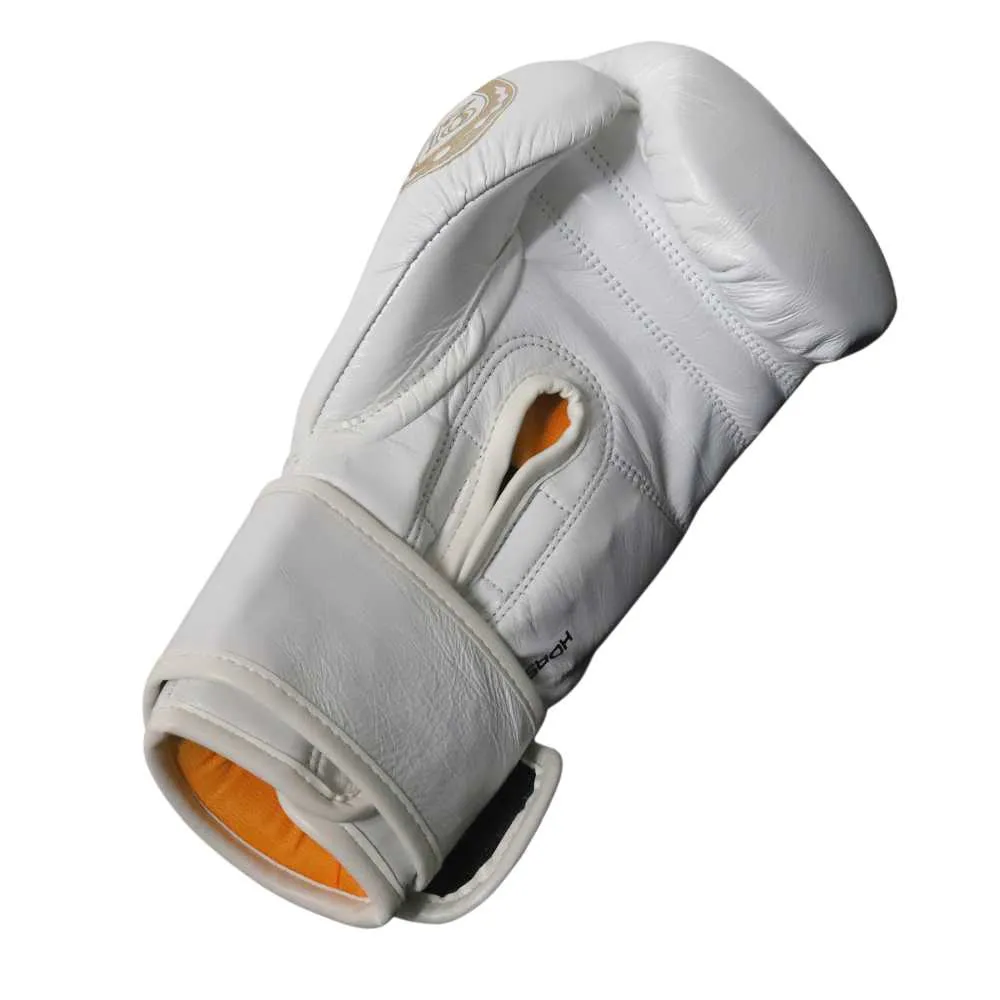 AAA Punch Mexican Lucky 13 Boxing Gloves