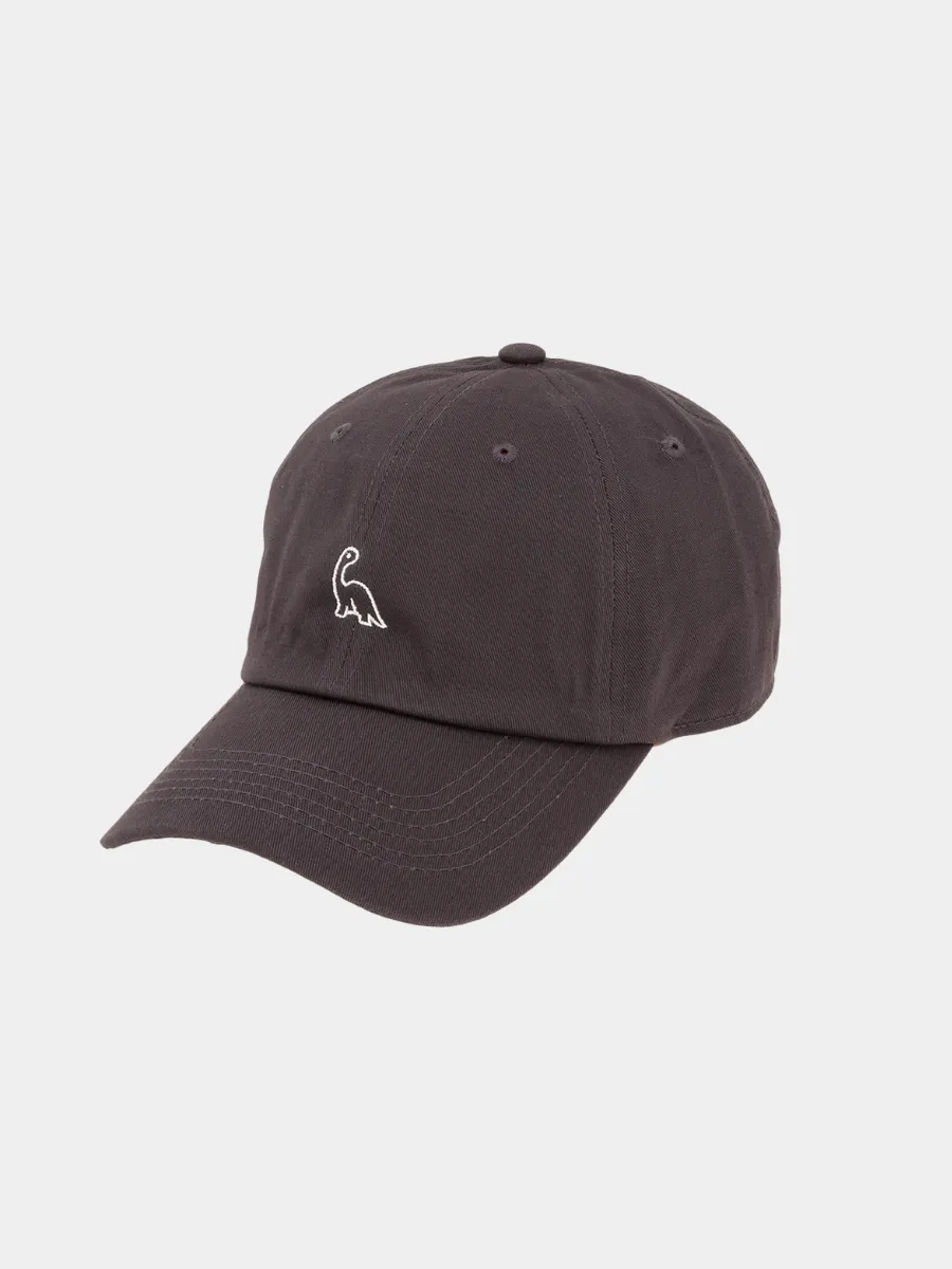 Dinosaur Embroidery Cotton Cap