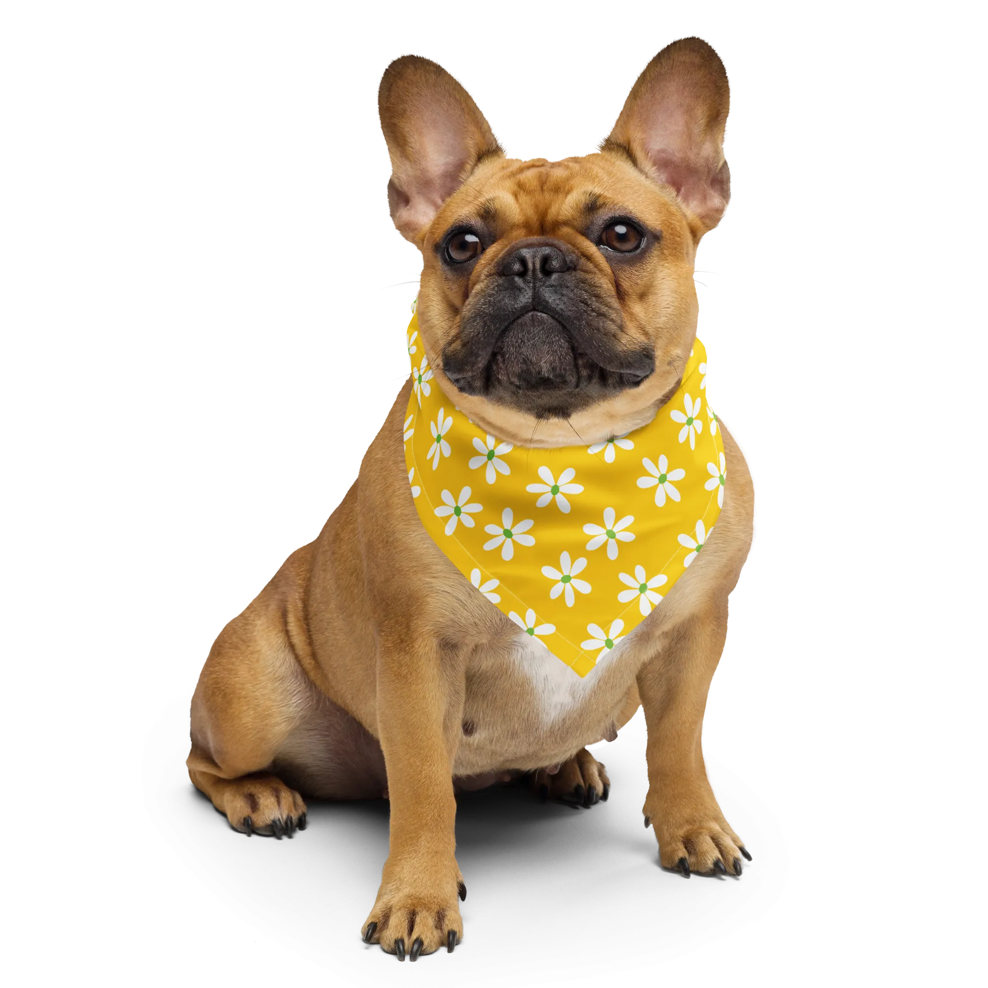 Dog Bandana - Yellow Daisy