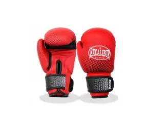 Excalibur Combat Martial Arts Kids Boxing Gloves [WS]
