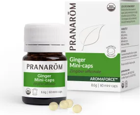 Ginger Mini-caps