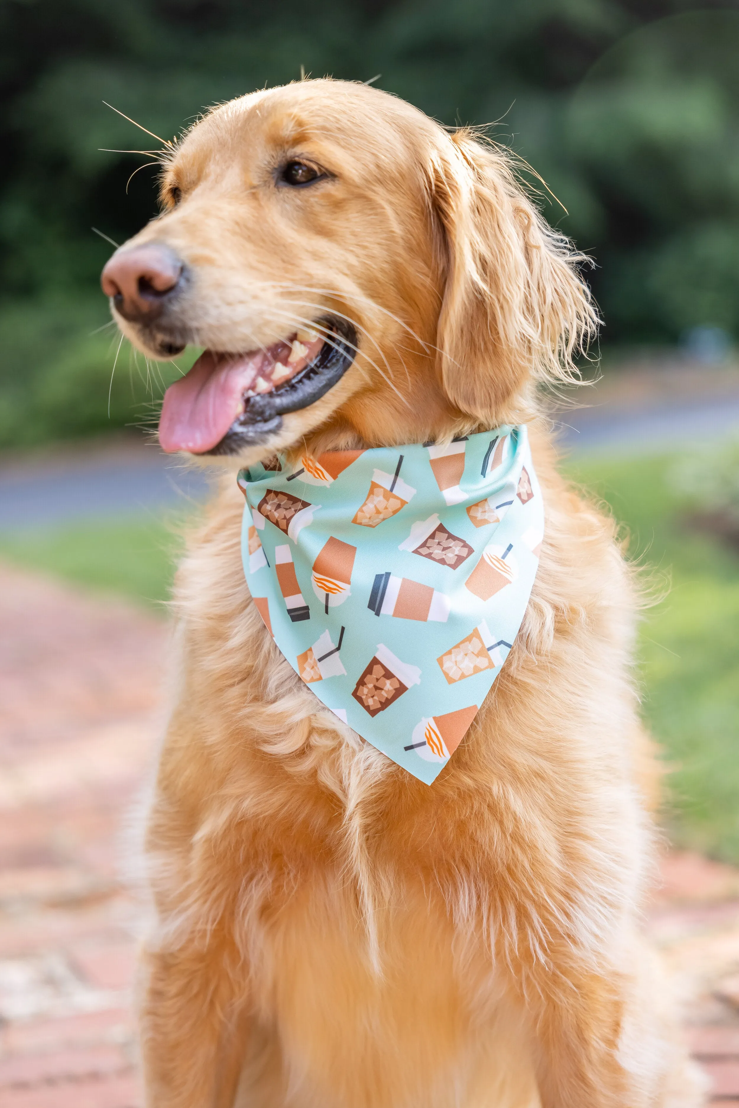 Iced Coffee Endurance Dog Bandana